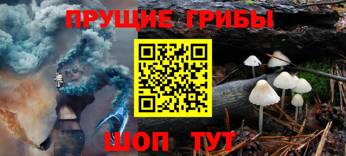 Псилоцибиновые грибы Psilocybine cubensis Малоярославец