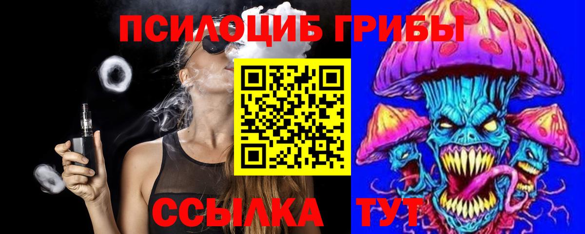 Псилоцибиновые грибы прущие грибы  Вход с VPN  Малоярославец 